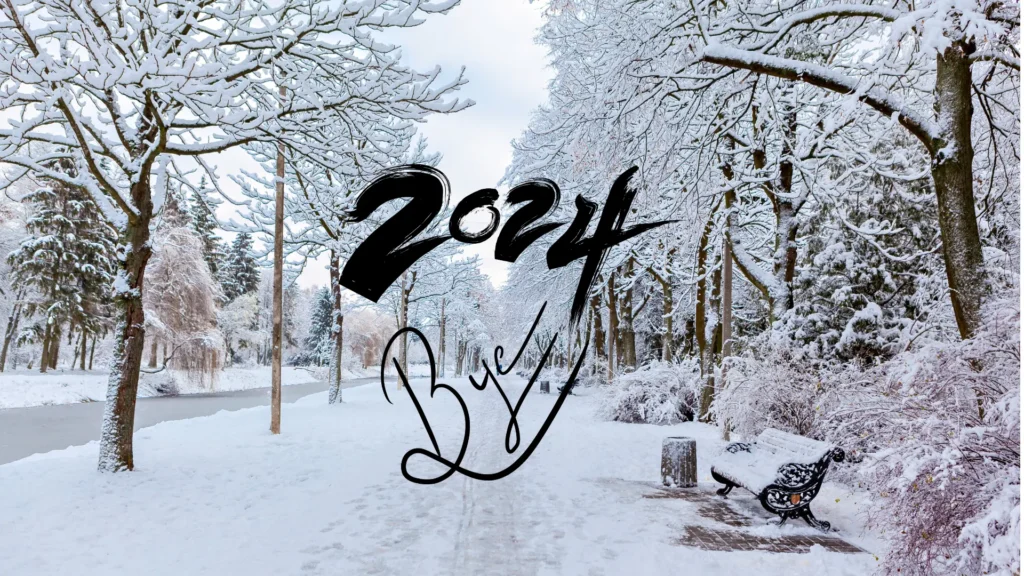 Goodbye 2024 shows the winter season in the back.